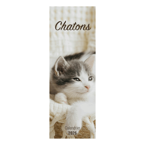 Calendrier long  "Chatons" - 2026