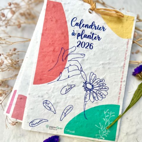 Calendrier à planter 2026 - Mains et fleurs planter 2026