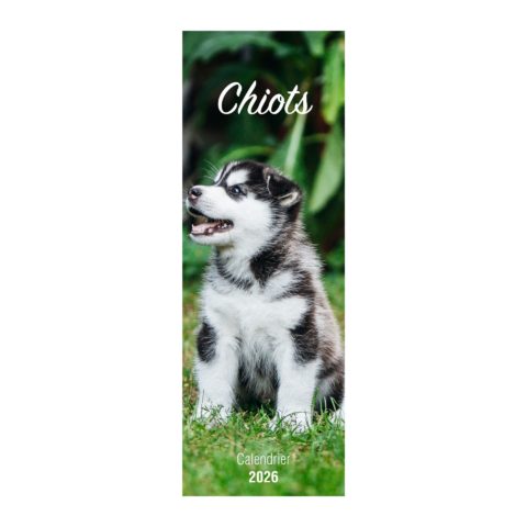 Calendrier Chiots 2026
