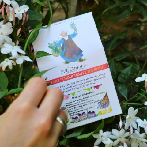 Tisane "chouchoute ma peau"