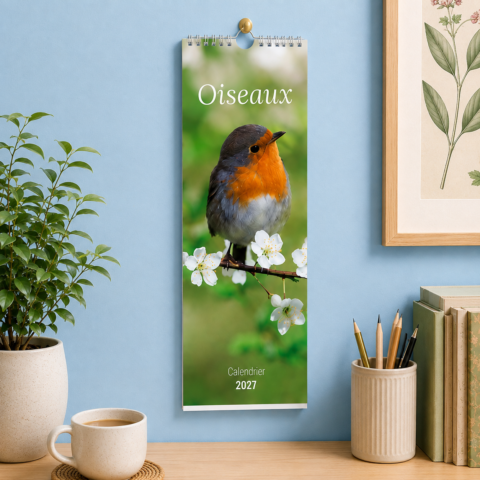 Calendrier long – Oiseaux 2027